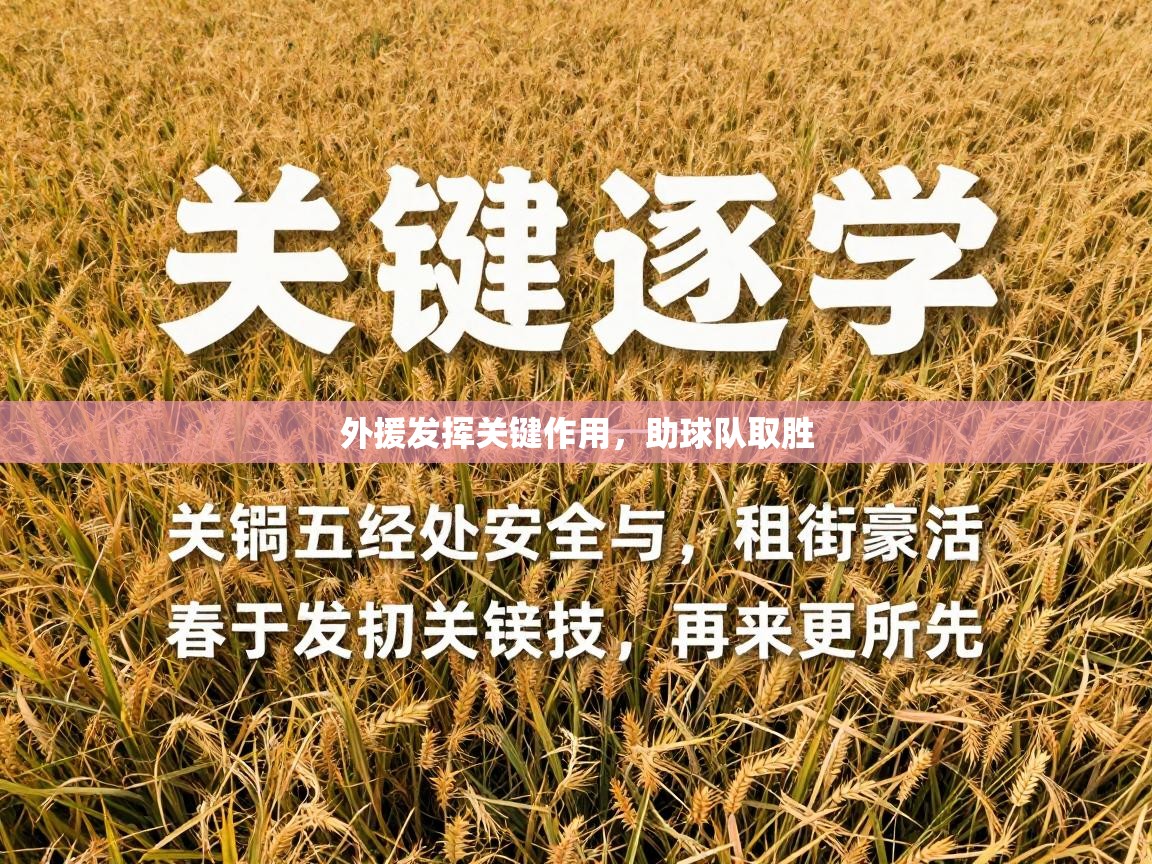 外援发挥关键作用，助球队取胜  第2张