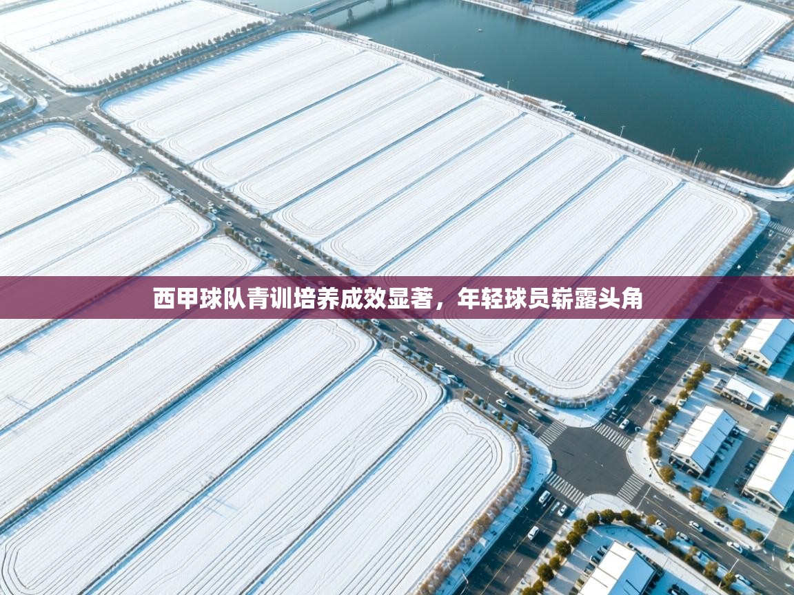 西甲球队青训培养成效显著,年轻球员崭露头角 第1张