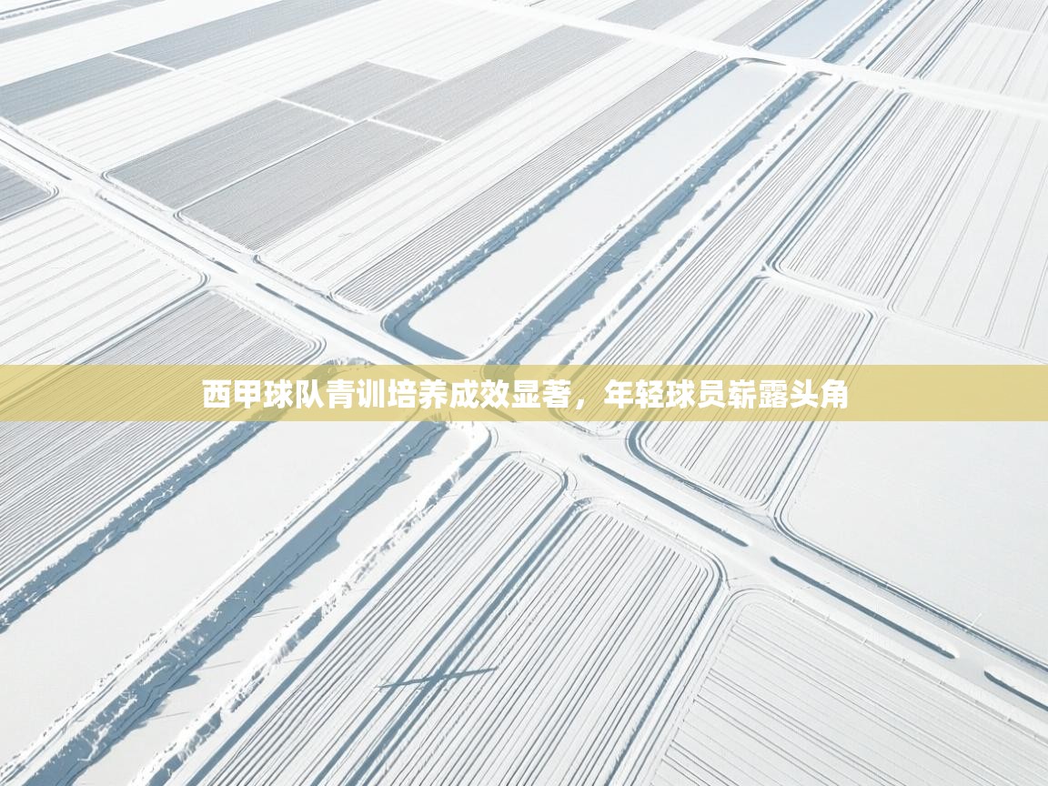 西甲球队青训培养成效显著,年轻球员崭露头角 第2张