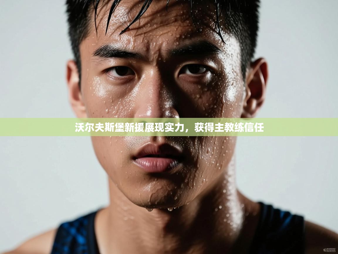 沃尔夫斯堡新援展现实力,获得主教练信任 第1张