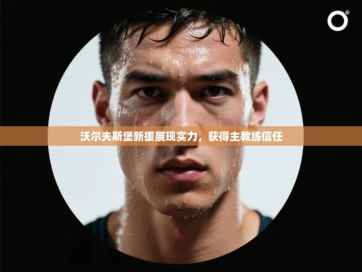 沃尔夫斯堡新援展现实力,获得主教练信任 第2张