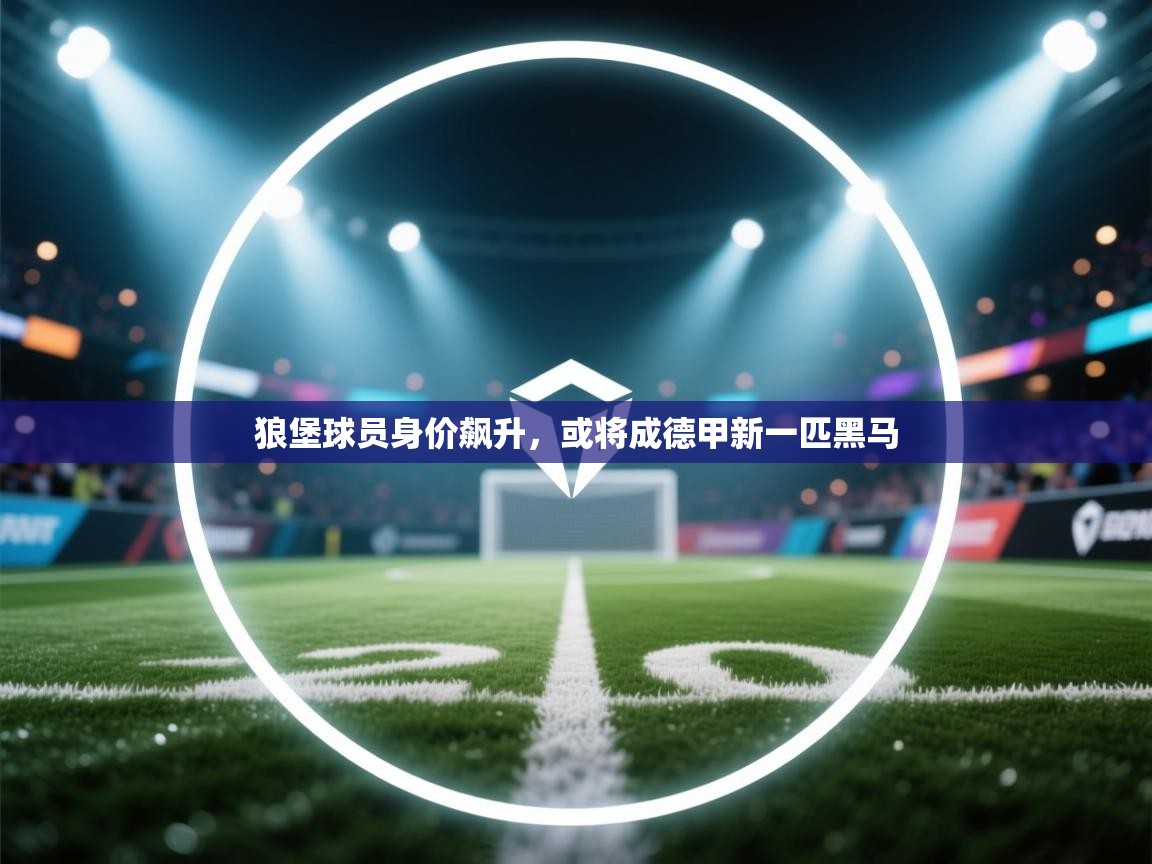 狼堡球员身价飙升,或将成德甲新一匹黑马 第1张
