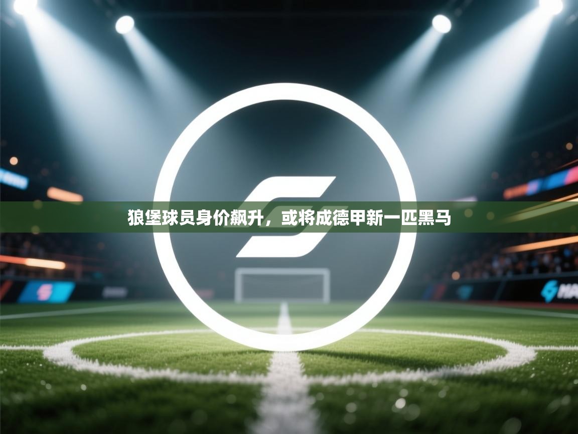 狼堡球员身价飙升,或将成德甲新一匹黑马 第2张